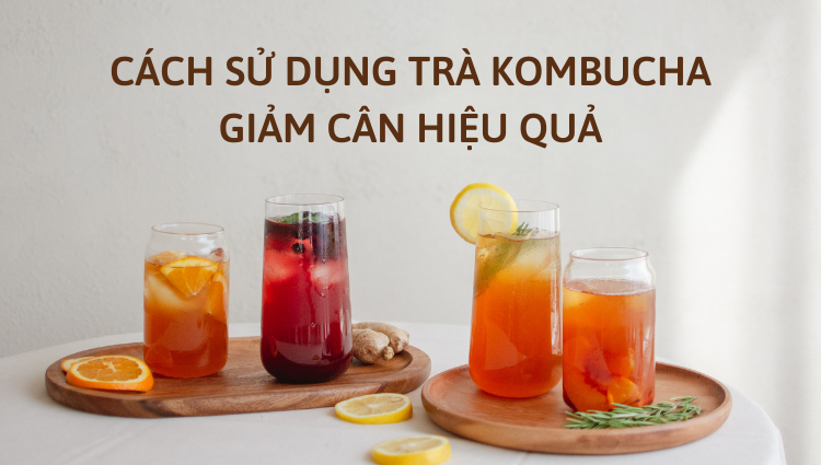 kombucha là gì