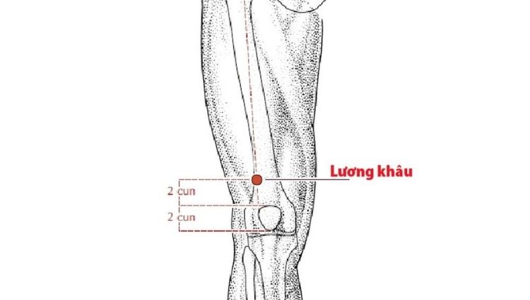 bấm huyệt giảm cân 