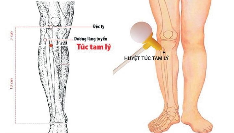 bấm huyệt giảm cân 