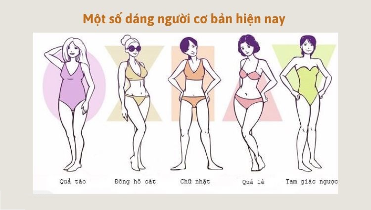 Tìm hiểu một số dáng người cơ bản hiện nay