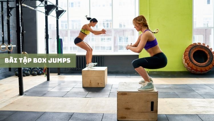 Bài tập Box Jumps