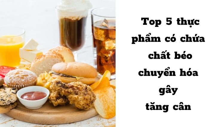 Các loại thực phẩm có chứa chất béo chuyển hóa gây tăng cân