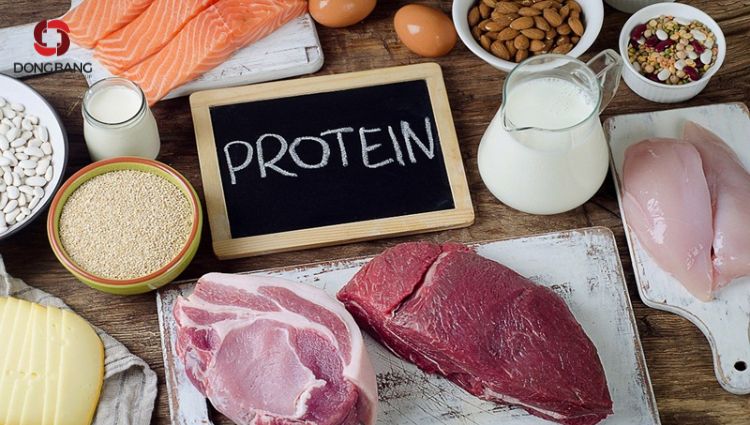 Nạp vào cơ thể protein lành mạnh tăng cường trao đổi chất