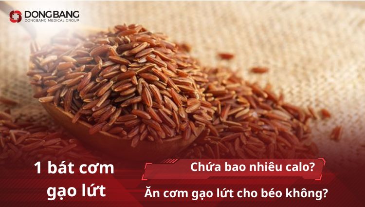 cơm gạo lứt bao nhiêu calo thumbanil