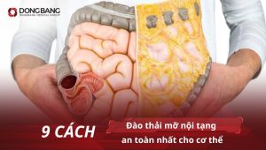 9 cách đào thải mỡ nội tạng an toàn nhất