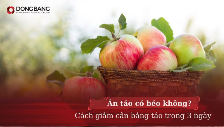 Ăn táo có béo không? Cách giảm cân bằng táo trong 3 ngày