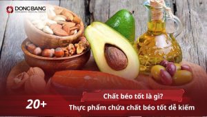 Chất béo tốt là gì? 20+ Thực phẩm chứa chất béo tốt dễ kiếm