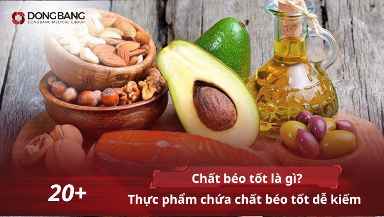 Chất béo tốt là gì? 20+ Thực phẩm chứa chất béo tốt dễ kiếm