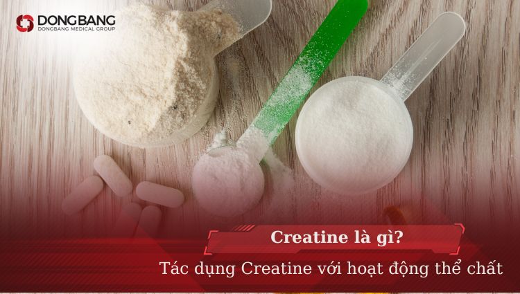 Creatine là gì?