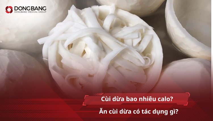 Cùi dừa bao nhiêu calo? Ăn cùi dừa có tác dụng gì