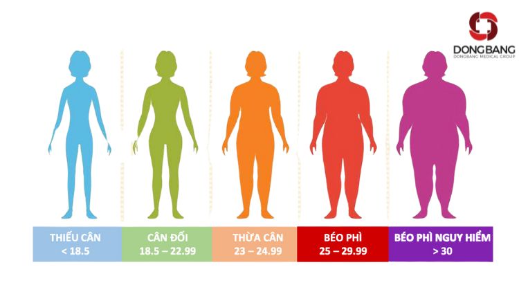 Chỉ số BMI > 30 được coi là béo phì đối với người cao 175cm