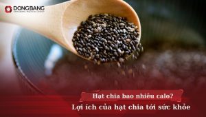 Hạt chia bao nhiêu calo? Lợi ích của hạt chia tới sức khỏe