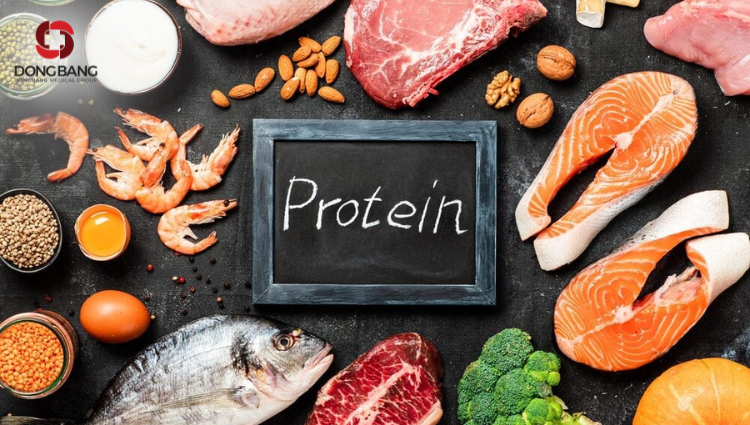 Nạp đủ lượng protein mỗi ngày tốt cho quá trình giảm cân