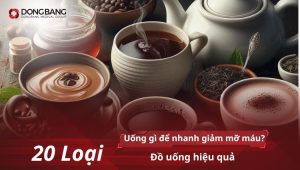 Uống gì để nhanh giảm mỡ máu? 20 Loại đồ uống hiệu quả