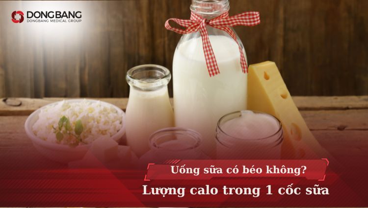 Uống sữa có béo không? Lượng calo có trong một cốc sữa