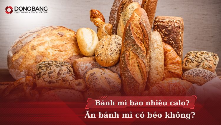 [Góc giải đáp] 1 ổ bánh mì bao nhiêu calo? Ăn bánh mì có béo không?