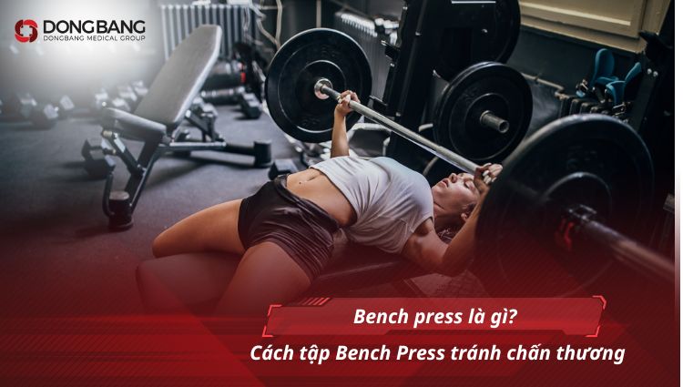 Bench press là gì? Cách tập Bench Press tránh chấn thương