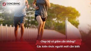 Chạy bộ có giảm cân không? Các kiến thức người mới cần biết