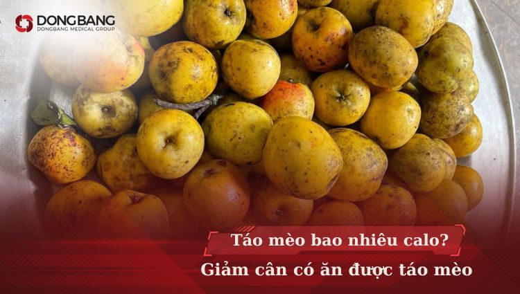 Táo mèo bao nhiêu calo? Giảm cân có ăn được táo mèo