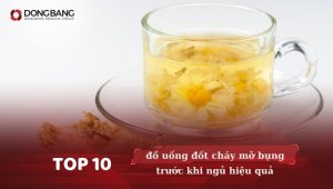 Top 10 đồ uống đốt cháy mỡ bụng trước khi ngủ hiệu quả