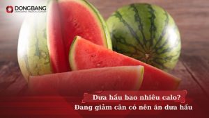 Dưa hấu bao nhiêu calo? Đang giảm cân có nên ăn dưa hấu