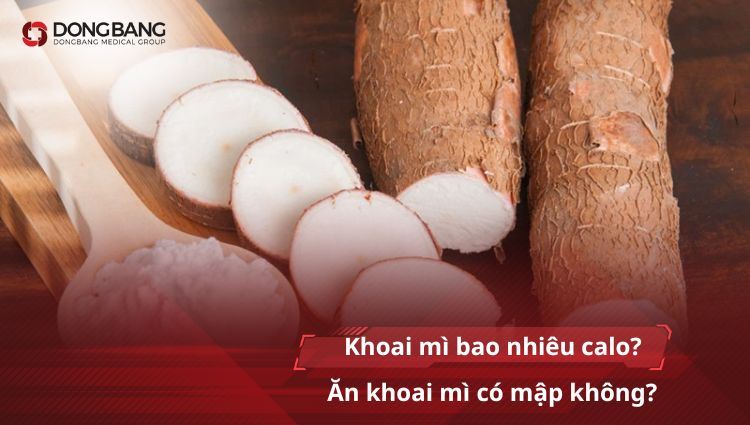 Khoai mì bao nhiêu calo? Ăn khoai mì có mập không?