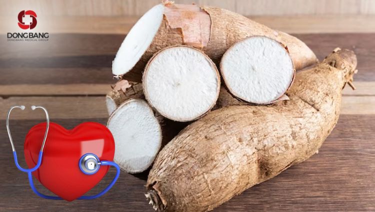 Khoai mì chứa nhiều chất xơ, giảm cholesterol LDL ngắn ngừa bệnh tim mạch