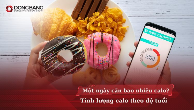 Một ngày cần bao nhiêu calo? Tính lượng calo theo độ tuổi