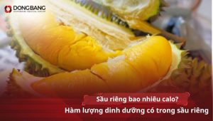 Sầu riêng bao nhiêu calo? Hàm lượng dinh dưỡng có trong sầu riêng