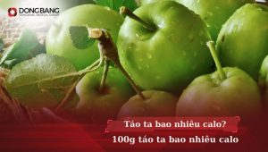 Táo ta bao nhiêu calo? 100g táo ta bao nhiêu calo