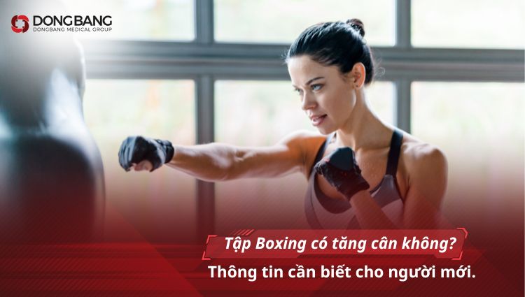 Tập Boxing có tăng cân không? thông tin cần biết cho người mới