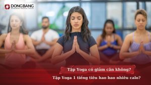 Tập Yoga có giảm cân không? Tập Yoga 1 tiếng tiêu hao bao nhiêu calo?