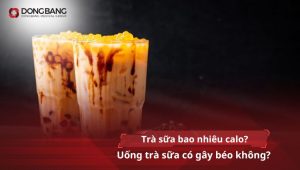 Trà sữa bao nhiêu calo? Uống trà sữa có gây béo không?