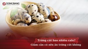 Trứng cút bao nhiêu calo? Giảm cân có nên ăn trứng cút không