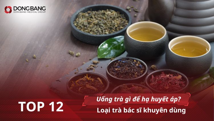 Uống trà gì để hạ huyết áp? Top 12 loại trà bác sĩ khuyên dùng