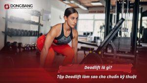 Deadlift là gì? Tập Deadlift làm sao cho chuẩn kỹ thuật